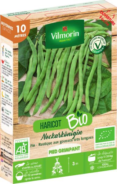 Légumes Secs - Haricot Grimpant Vert Neckarkönigin - 10 m - BIO - PACKAGING_3D_RECTO